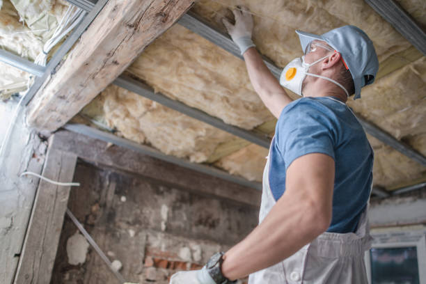 Best Energy-efficient Insulation  in Hallstead, PA