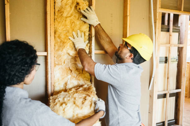 Best Home Insulation Services  in Hallstead, PA