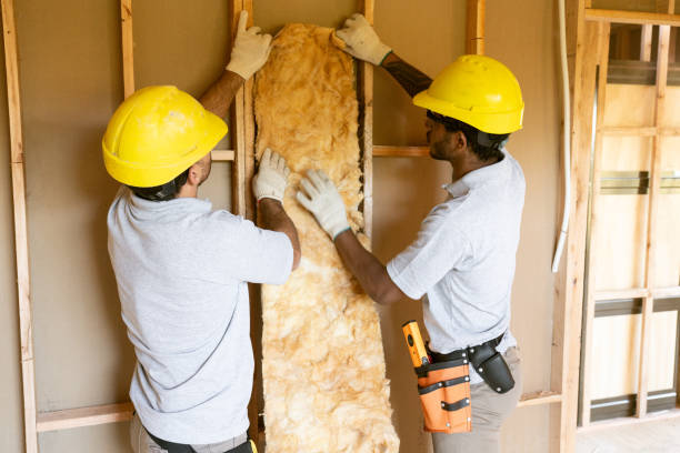 Best Home Insulation Services  in Hallstead, PA